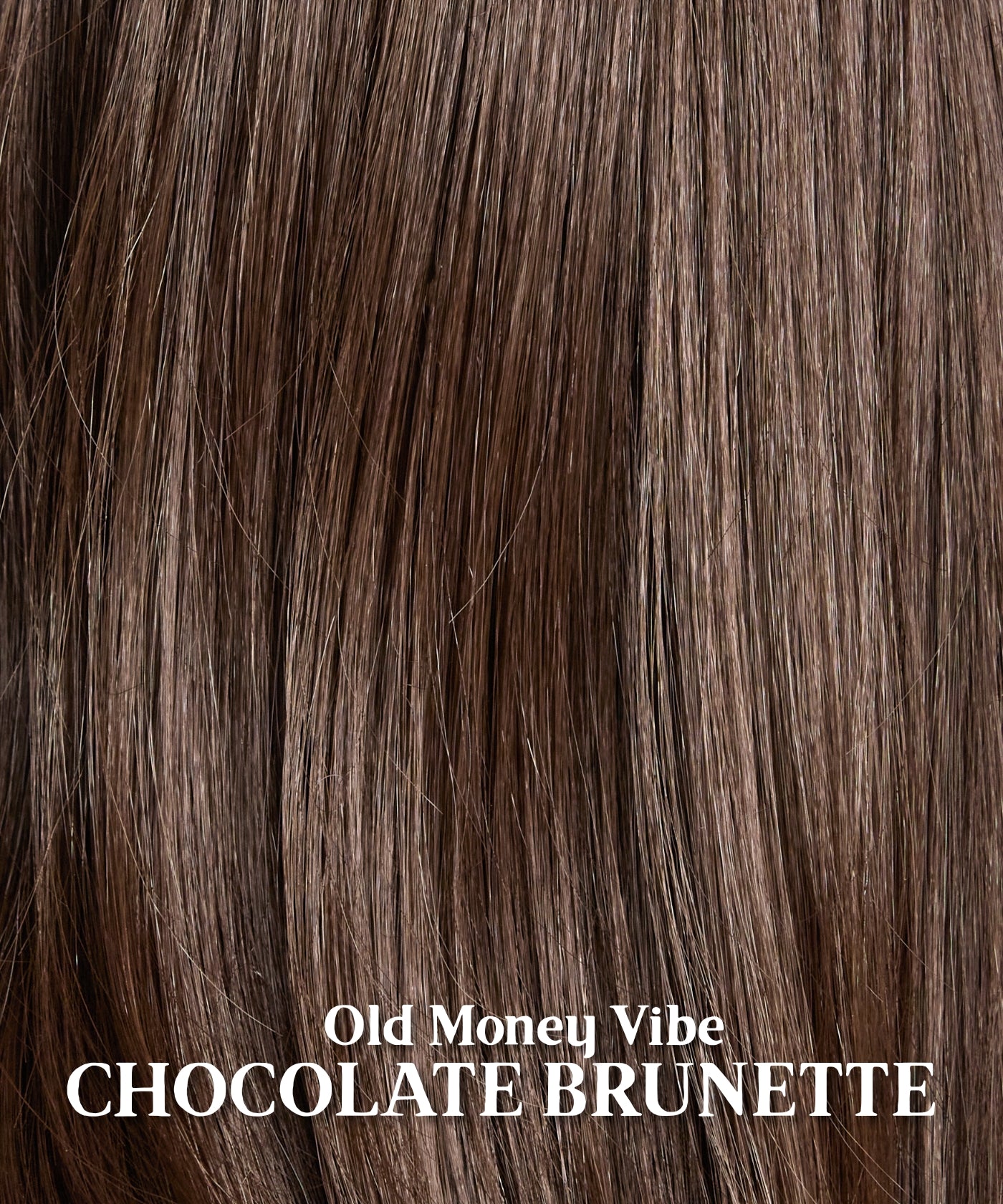 Haley | Shake And Blowout | 22" Old Money Vibe Rich Chocolate Brunette Wig
